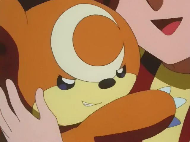 ポケモンgo ヒメグマのあの顔がたまらん アニメを１回見てみてください ポケモンgo攻略まとめ速報