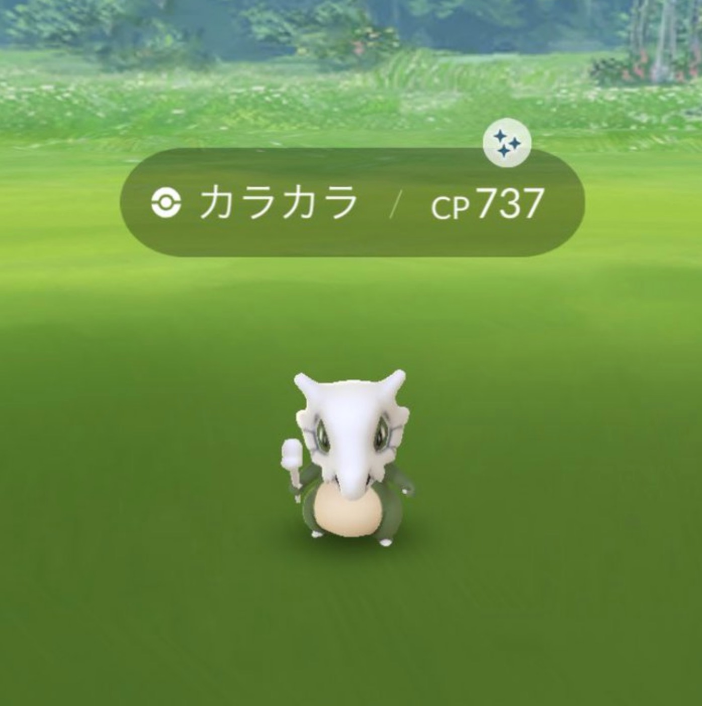 ポケモンgo 色違いは既に持っているポケモンが光やすいオカルト エイパム以外が被りまくり 人気スマホゲーム徹底攻略