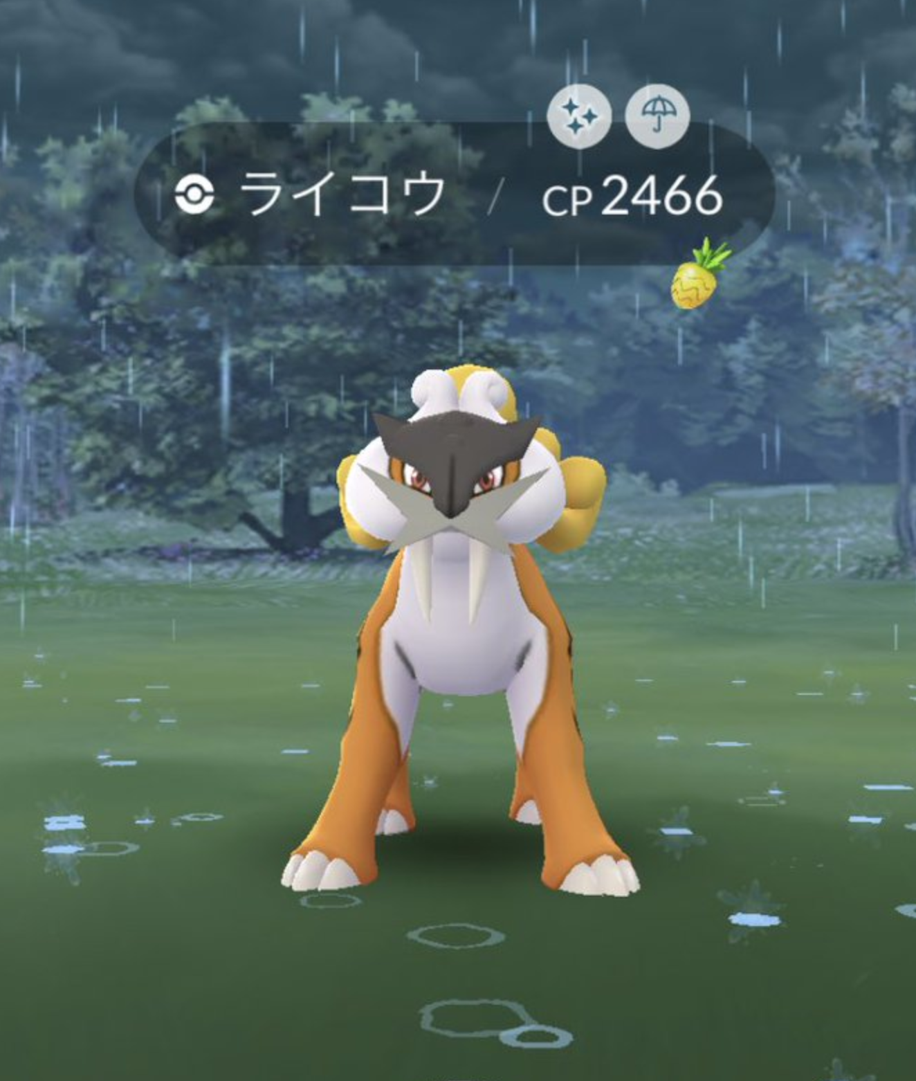 ライコウデイ 特別な技の実装は確認された 雨ブースト色違い祭りで激熱 ポケモンgo攻略まとめ速報